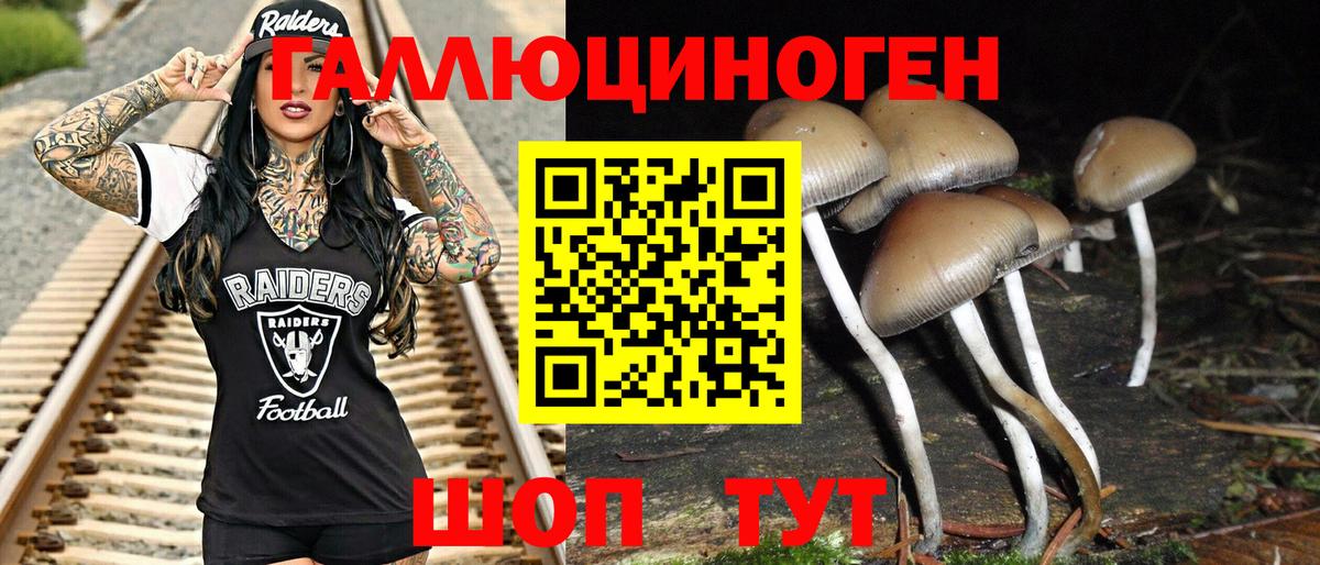 Псилоцибиновые грибы Magic Shrooms Магадан