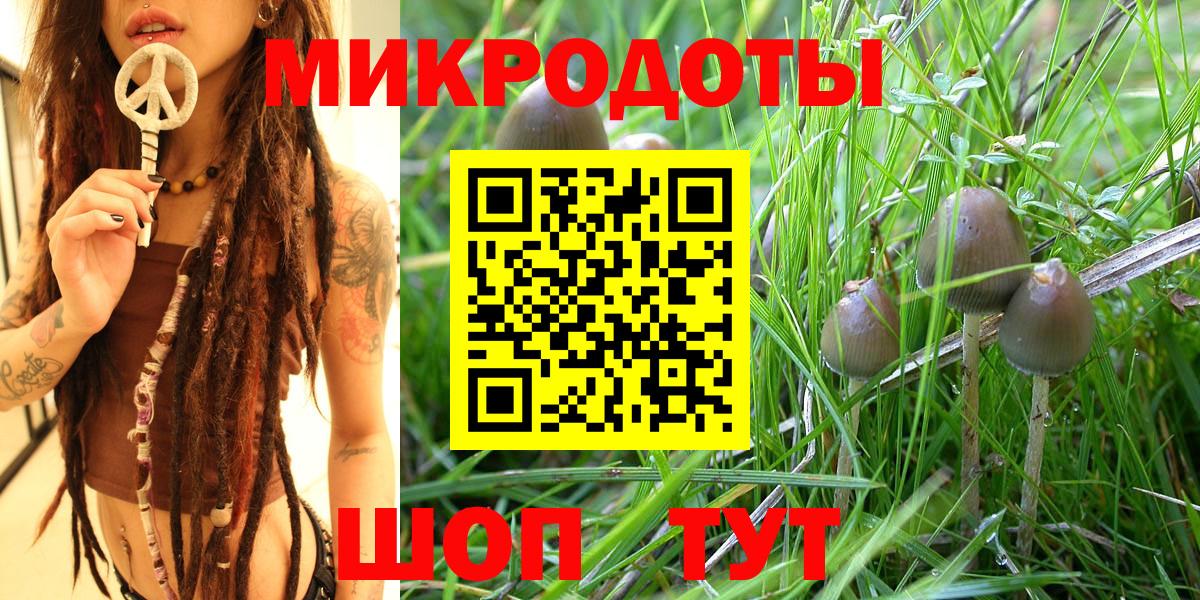 Магадан  Псилоцибиновые грибы мухоморы  Вход с VPN 